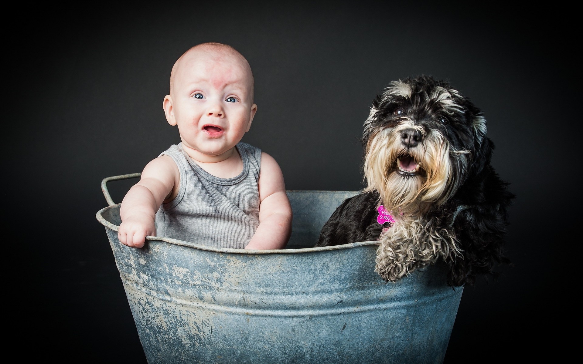 chien garçon enfant