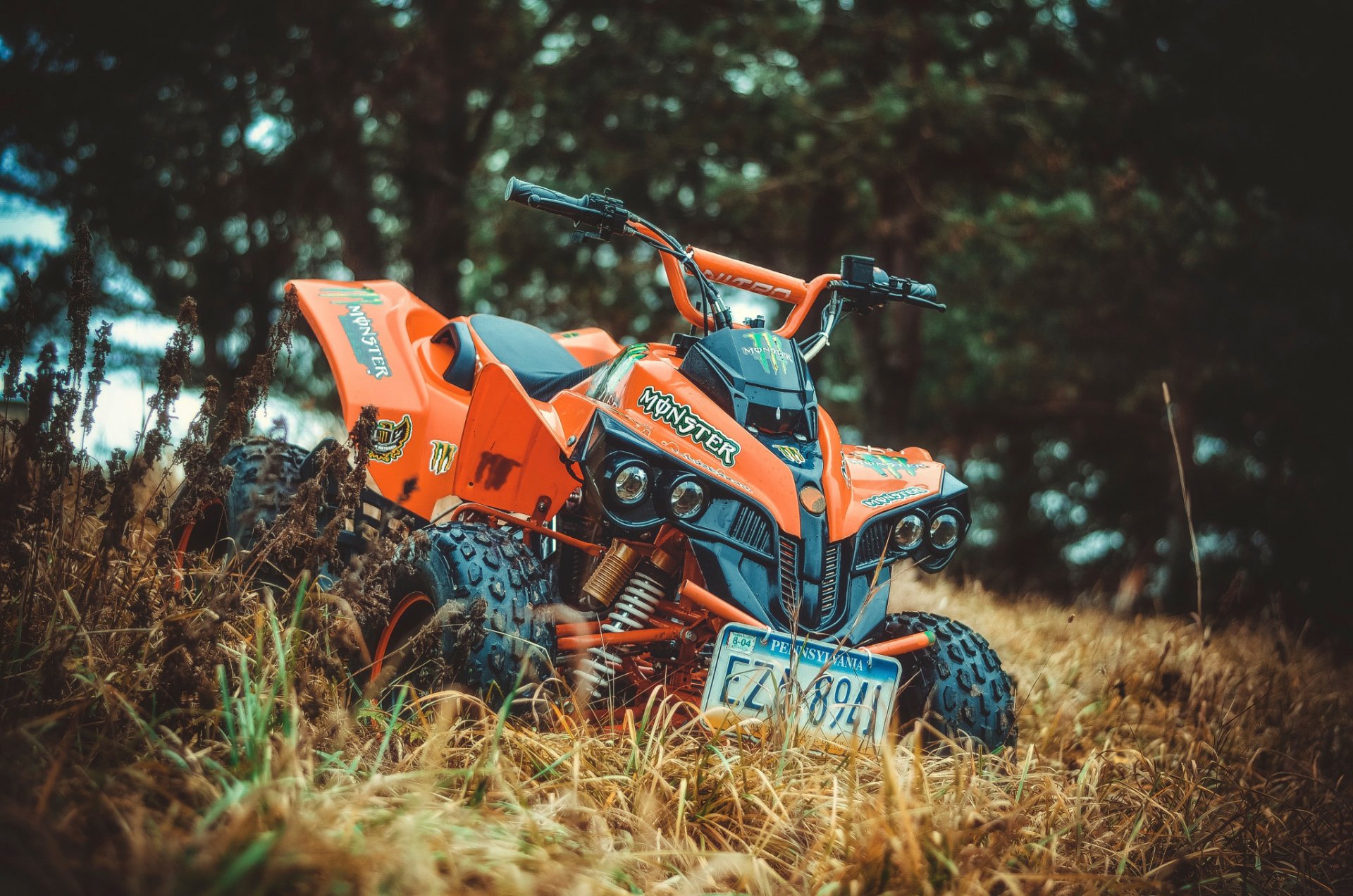 quad vue herbe