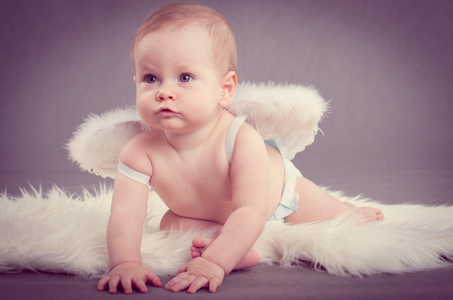 niño alas