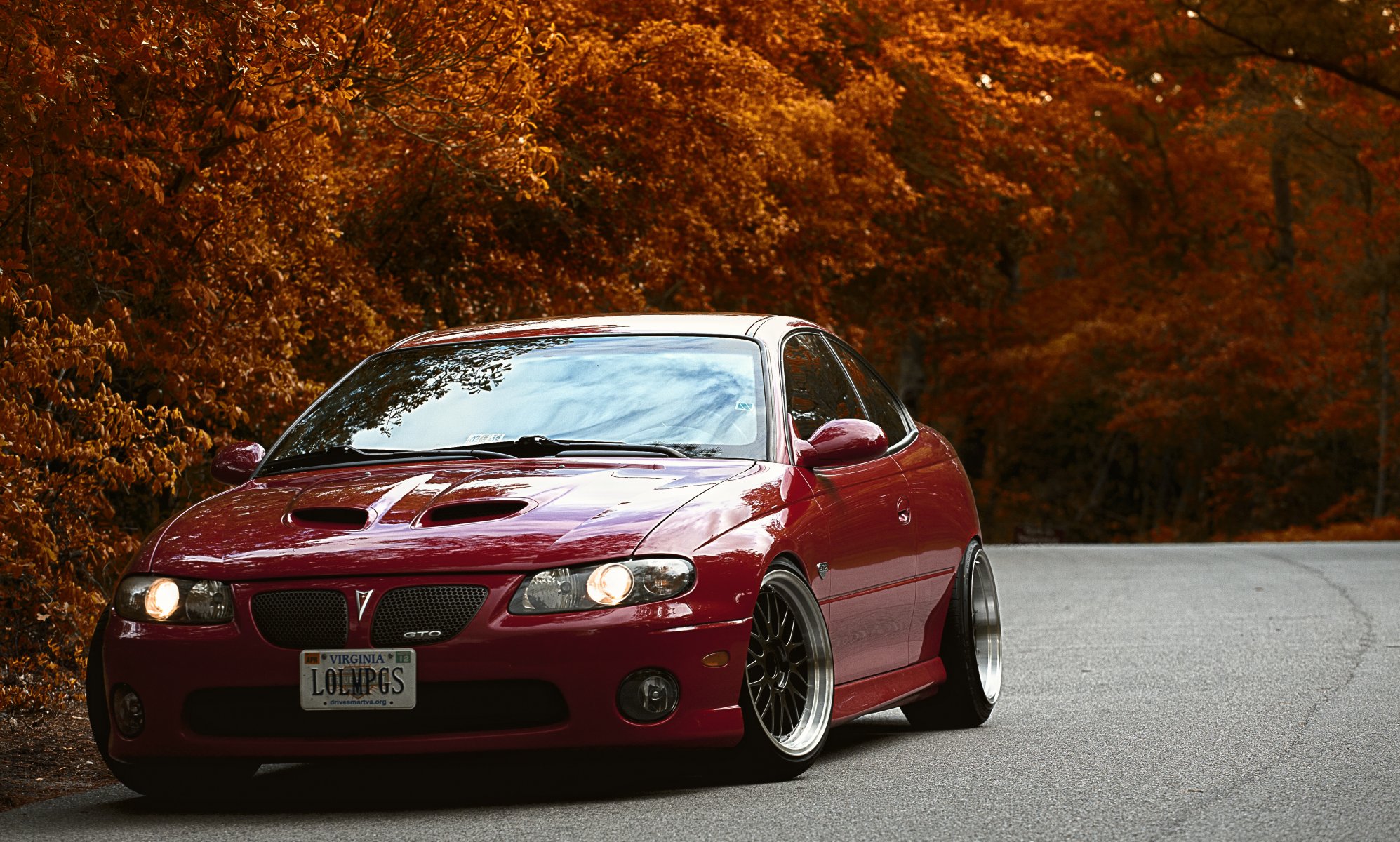 pontiac gto pontiac rouge tuning automne arbres route