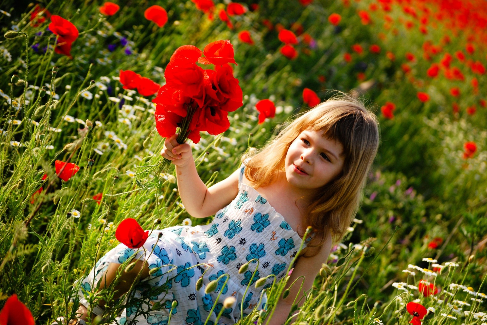 flower poppies meadow girl child