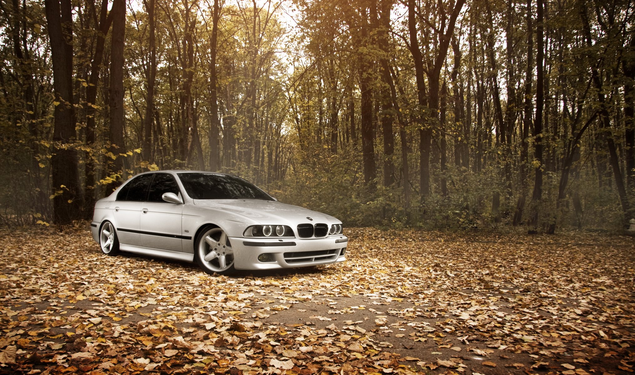 bmw m5 e39 position en cours d exécution automne feuilles forêt bmw