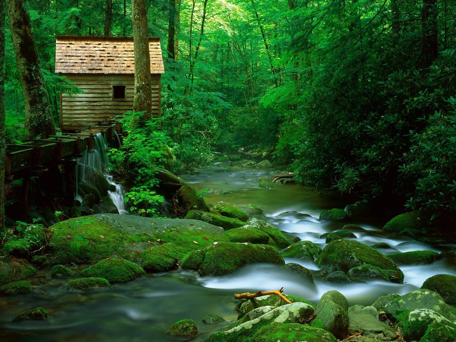 forêt maison rivière pierres