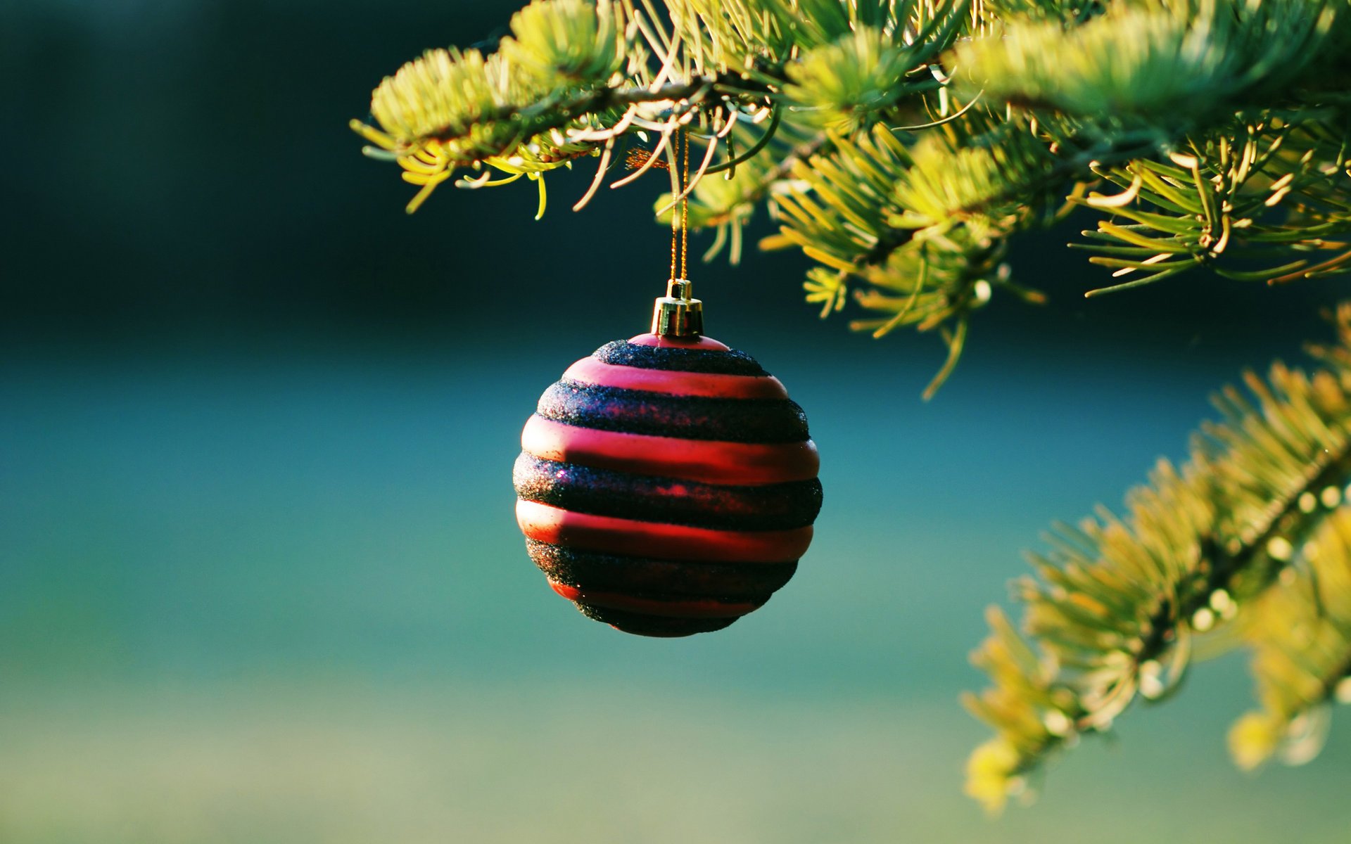 immagini di capodanno immagini e sfondi di natale capodanno palle di natale ramo giocattoli carta da parati festiva carta da parati di natale decorazioni rami