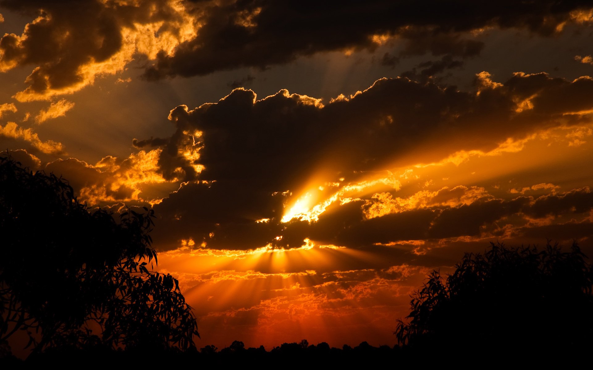 coucher de soleil soleil nuages vue forêt ombres