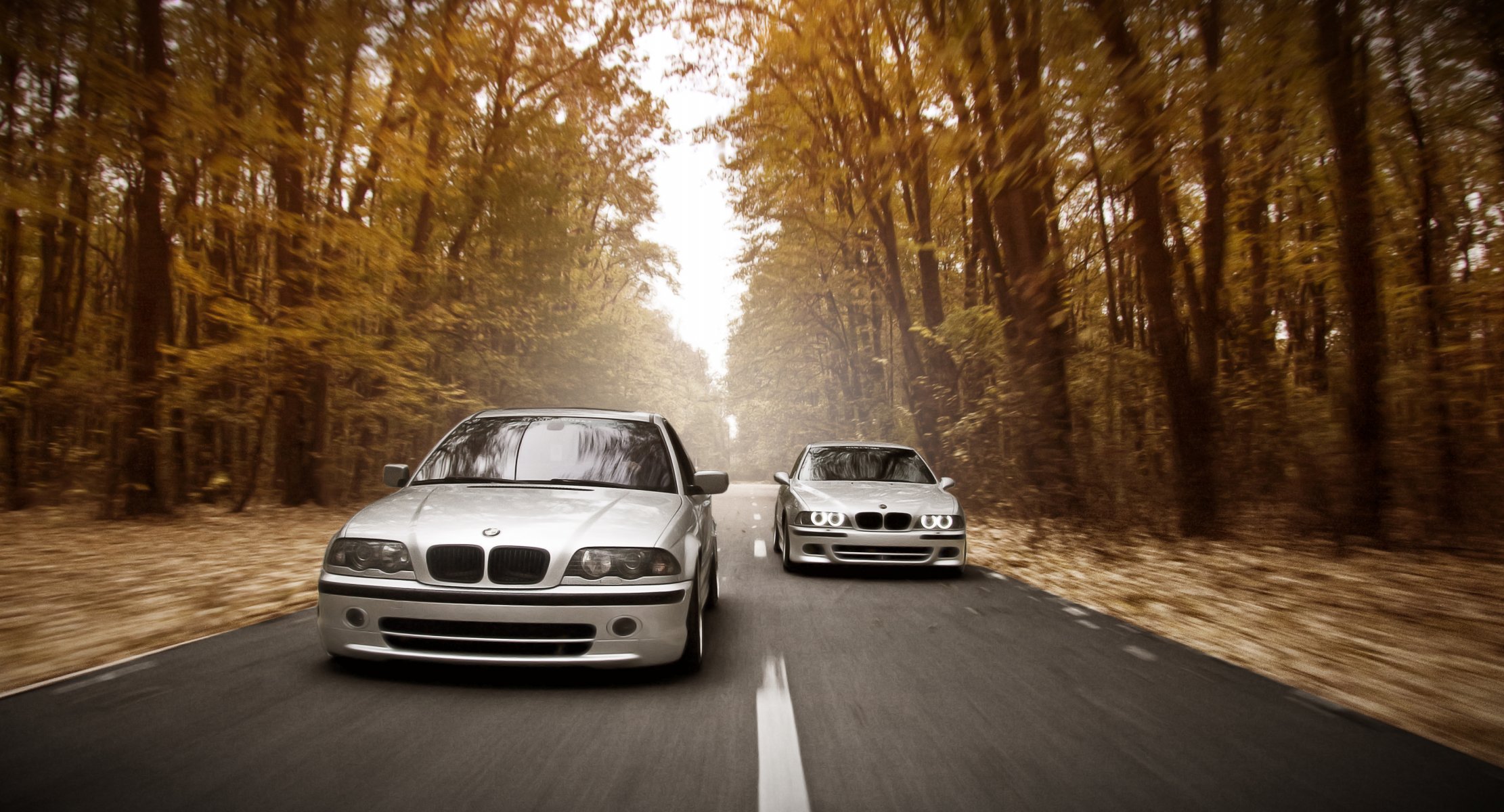 bmw e39 e46 m5 position läuft straße geschwindigkeit herbst wald scheinwerfer