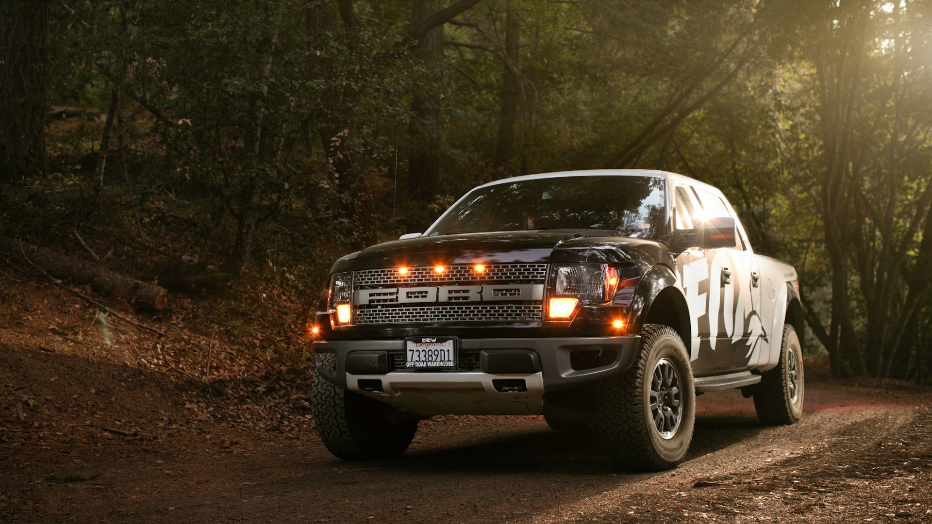 ford f-150 raptor bosque hojas luces