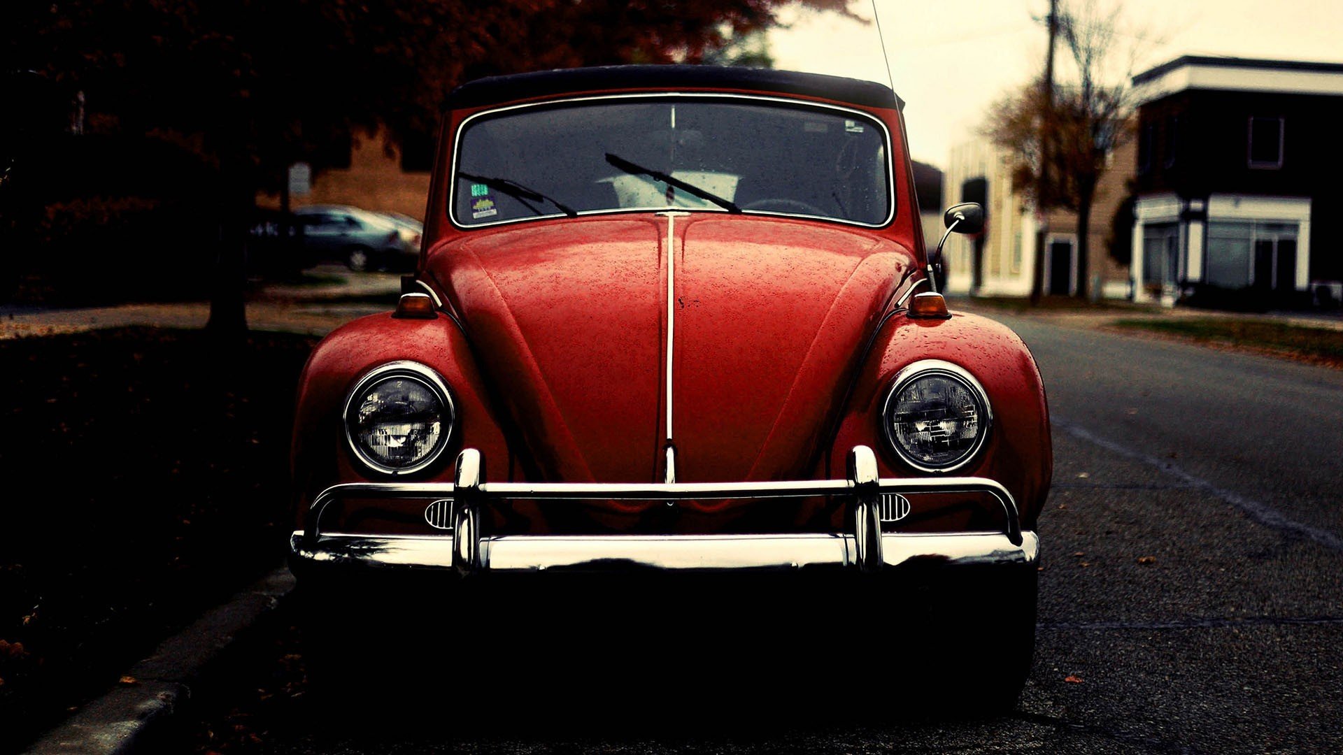 volkswagen käfer alt