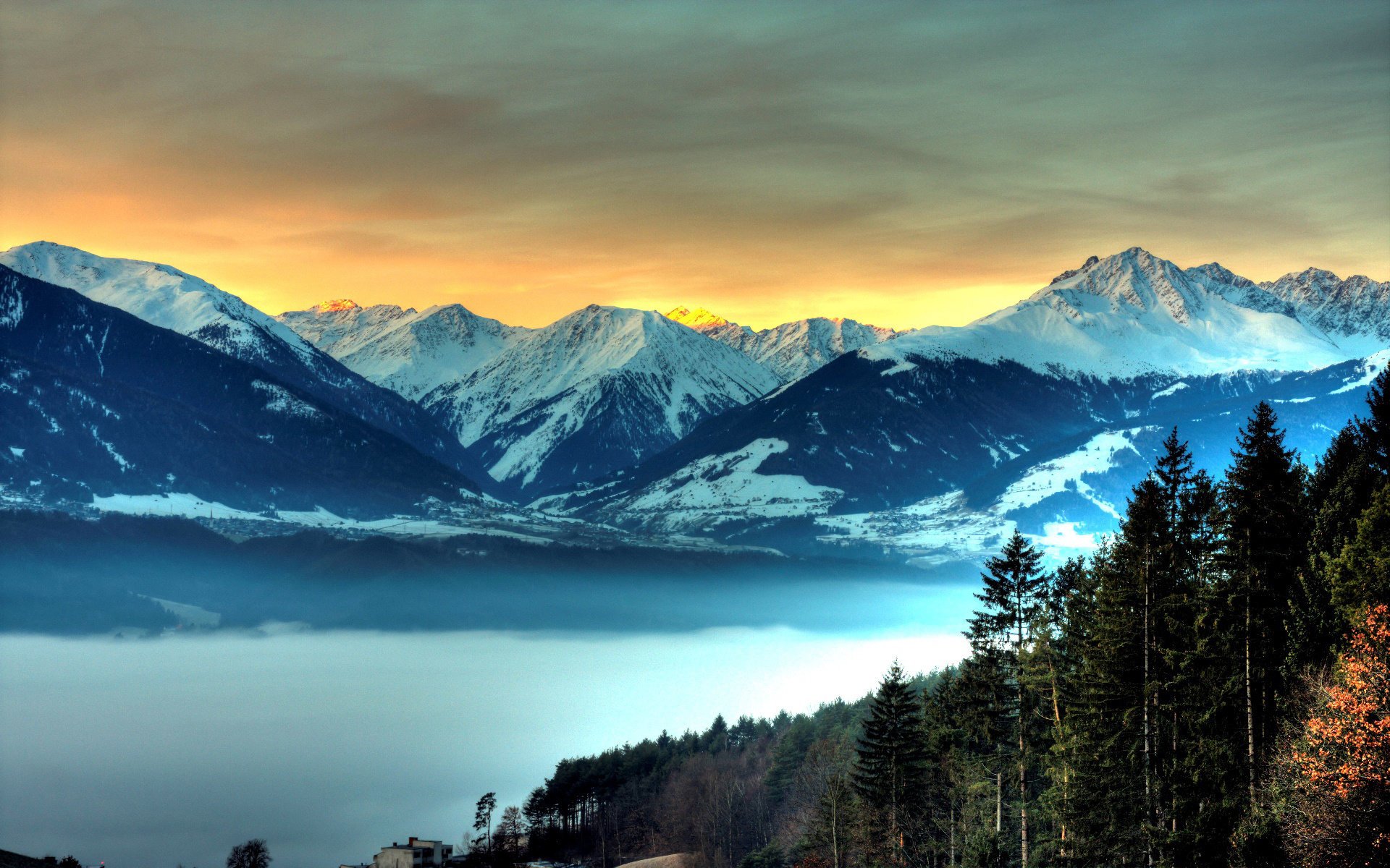 montagna foresta nebbia neve cielo splendore