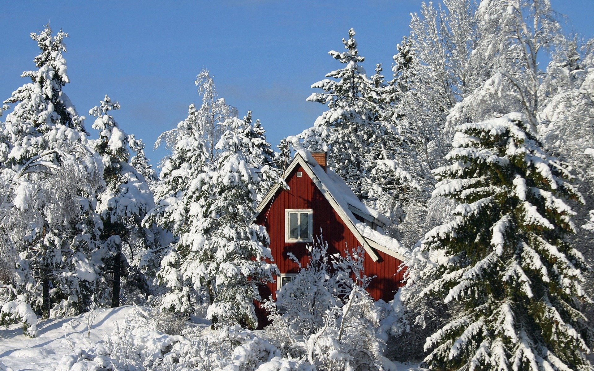 zama bosque nieve casa ventanas cielo árboles