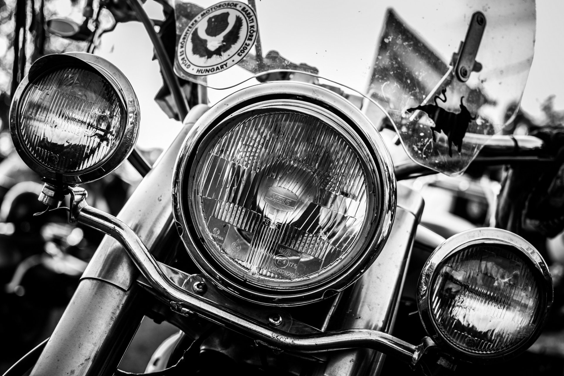 harley-davidson white black