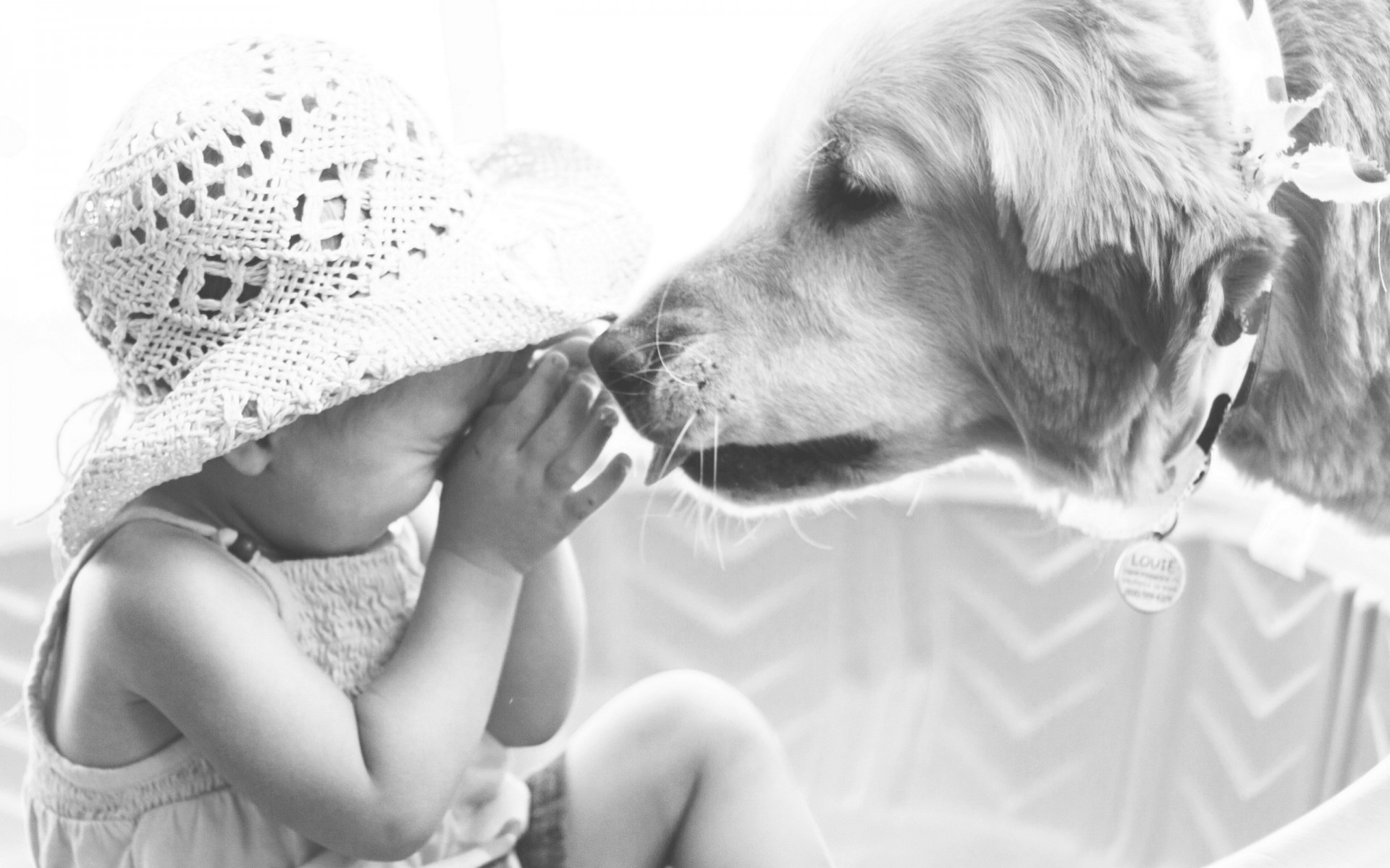 hund stimmung mädchen