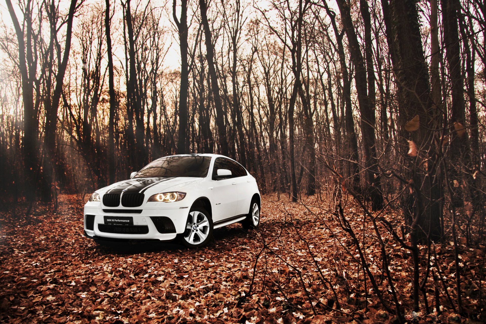 bmw x6 e72 tuning biały suv bmw jesień las liście