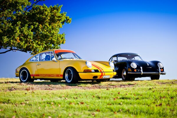 Two Porsche cars on the background of nature