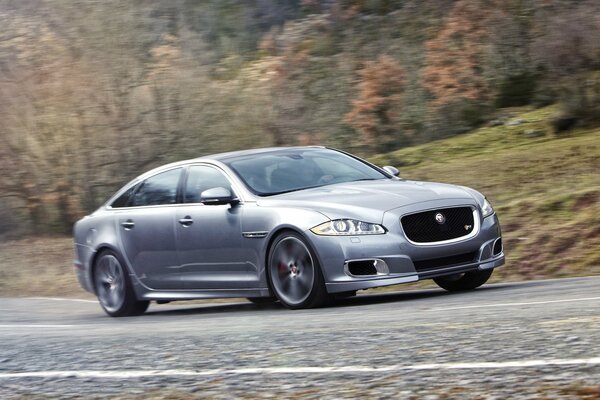 Auto di marca Jaguar sul ciglio della strada