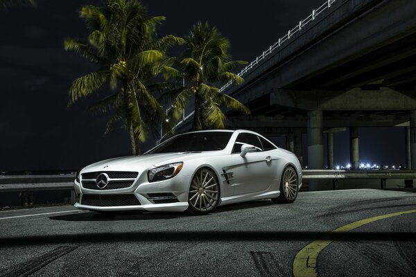 Mercedes blanco contra palmeras verdes