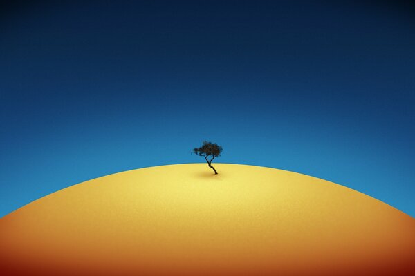 Petit arbre sur une base jaune et fond bleu