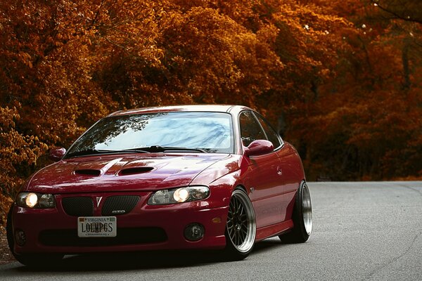 Elegant red car on a forest background