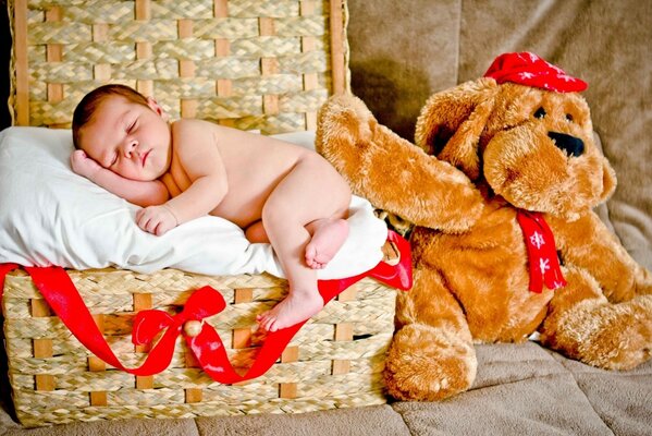 The baby sleeps in the basket next to the toy