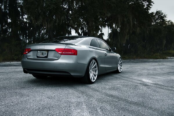 Srebrne audi s5 na tle drzewa