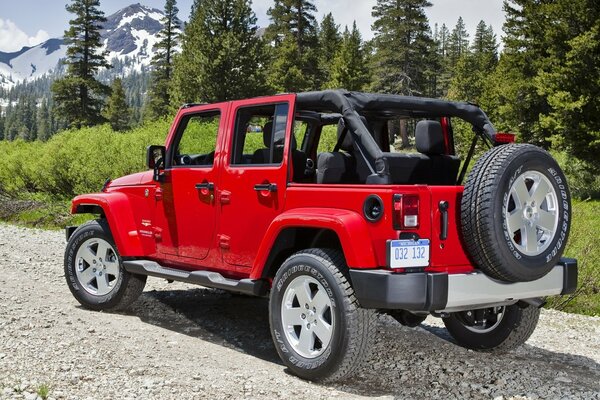 Wrangler near forests and mountains