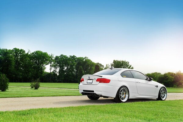 White bmw on the background of nature
