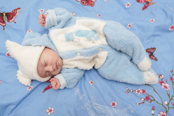 Reyenok en una colcha azul con flores