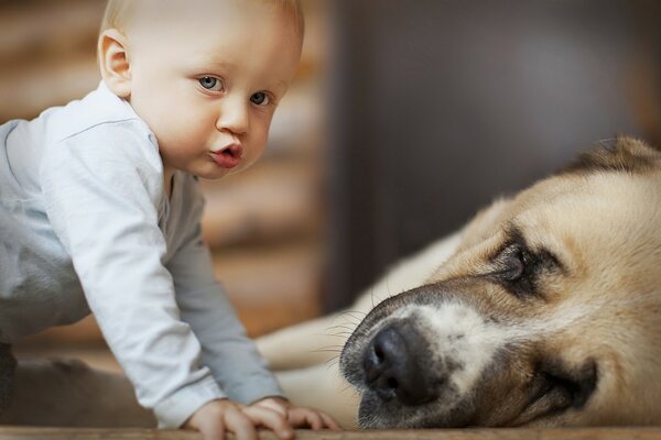 Petit garçon avec un beau chien