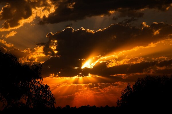 Tramonto tra le nuvole e la foresta cade silenziosamente nel sonno