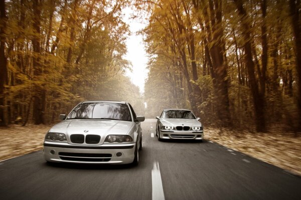 Bmw едут по осеннней трассе на скорости
