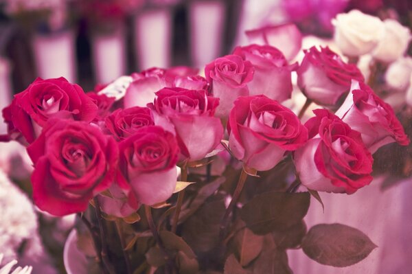 La ragazza non rimarrà indifferente da un tale bouquet