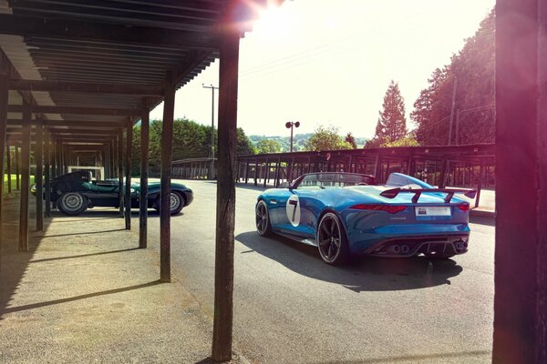 Jaguars on the sports track and parking