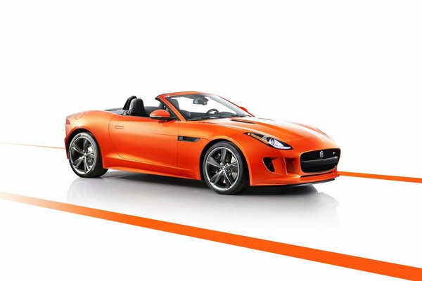 Vektor, roter Jaguar, orange Jaguar