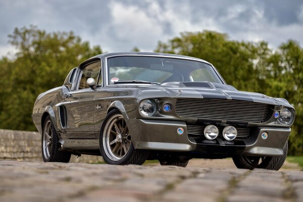 Coche Mustang clásico en la naturaleza