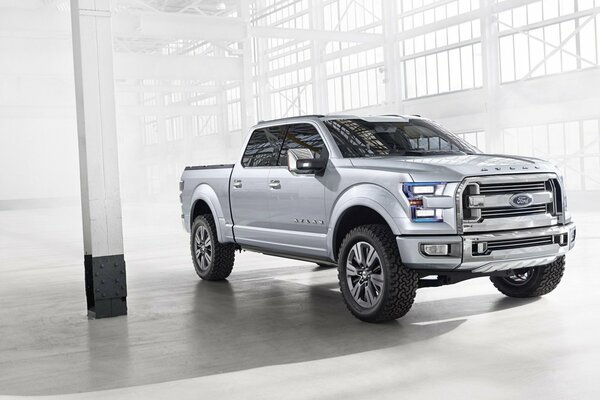 Der Ford Pickup ist sehr gut für Familienreisen