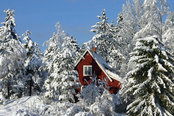 Matin de neige d hiver dans le village