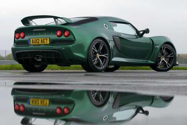 Lotus vert sur la route se reflète dans une flaque d eau