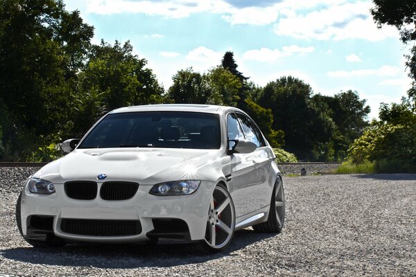 White BMW on a background of green trees