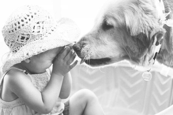 Cane che lecca il naso del bambino