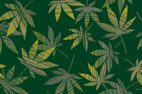 Carta da parati verde a tema. Foglie, canapa, Colore morbido