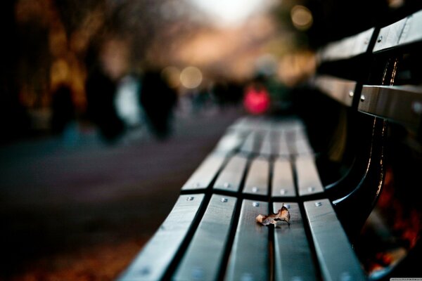 Una hoja solitaria en un banco del parque
