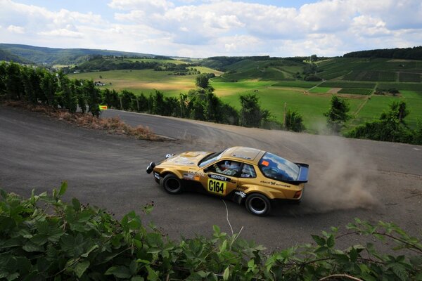 Rallye sur la nature verte