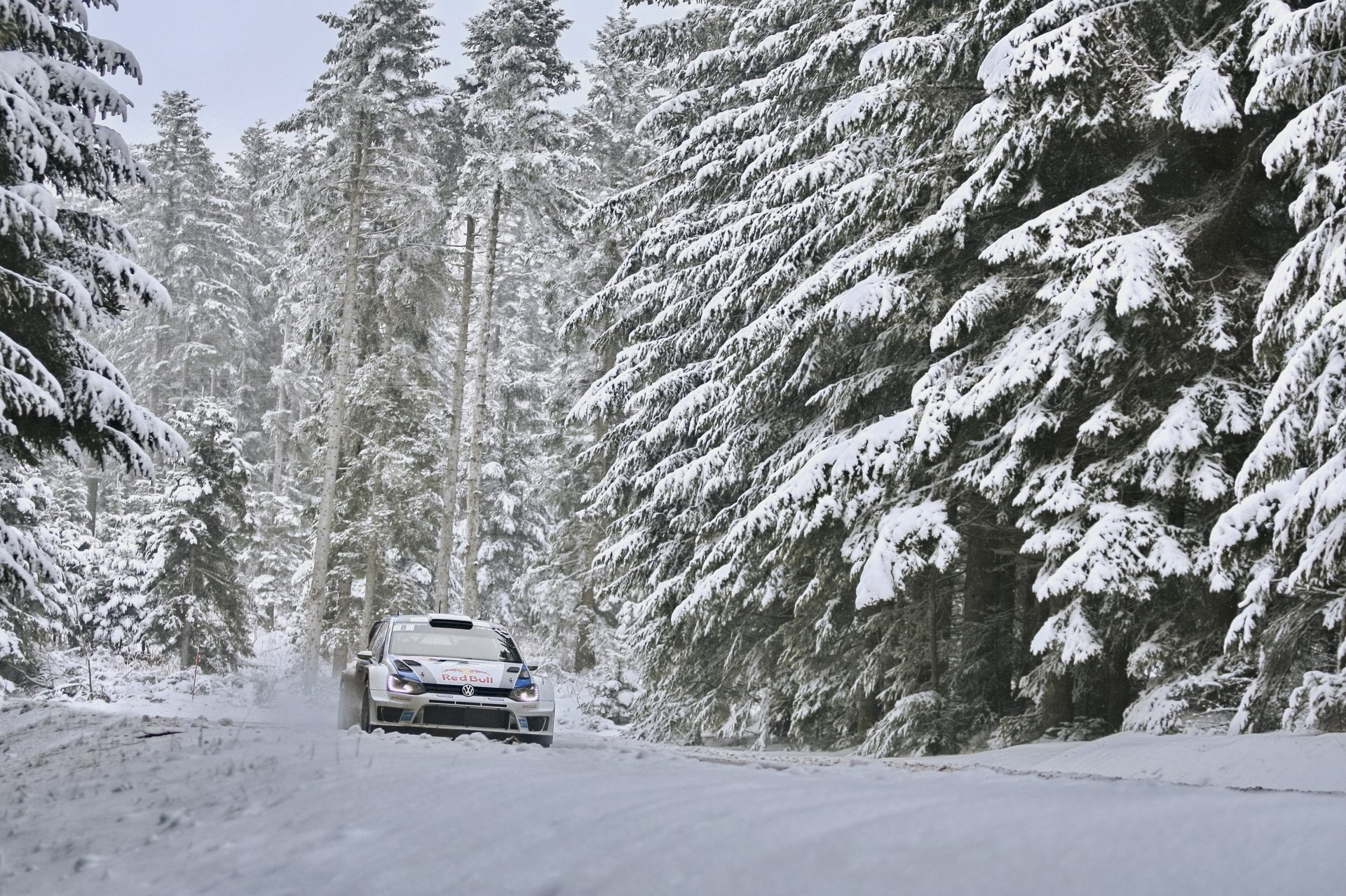 volkswagen polo wrc sébastien ogier rally invierno bosque coche paseos