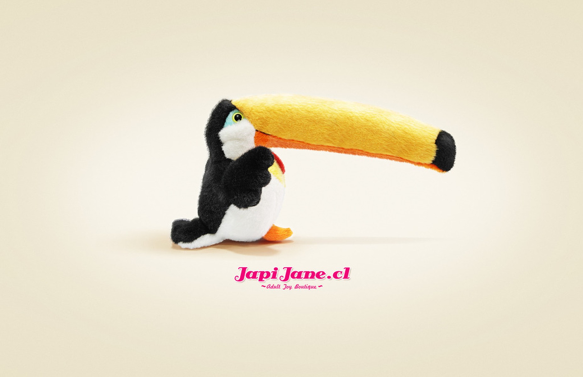 bird toucan toy