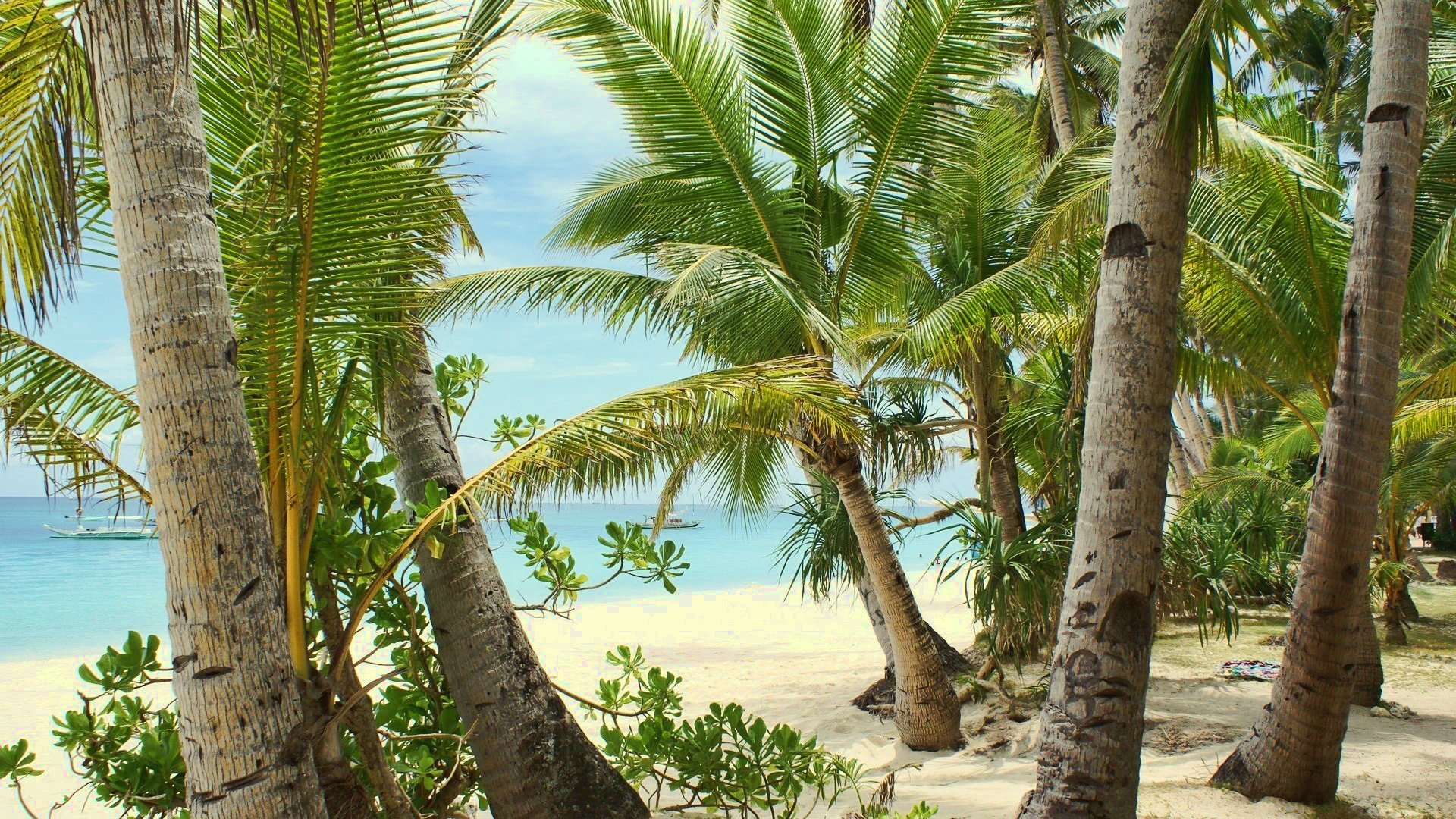 estate spiaggia sabbia calore mare vacanze palme