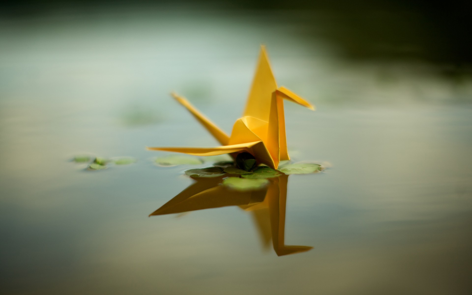 crane origami pond