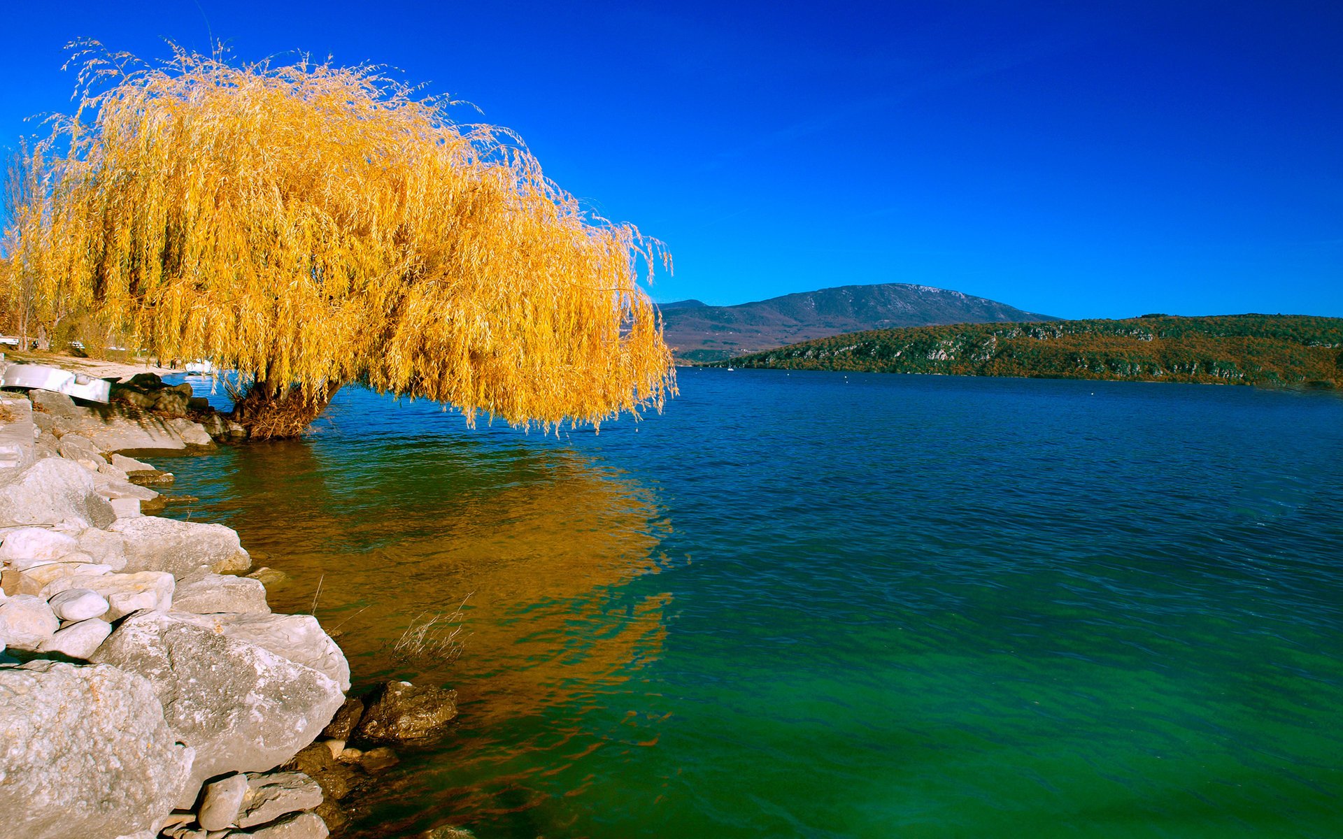 natur see baum weide landschaft herbst