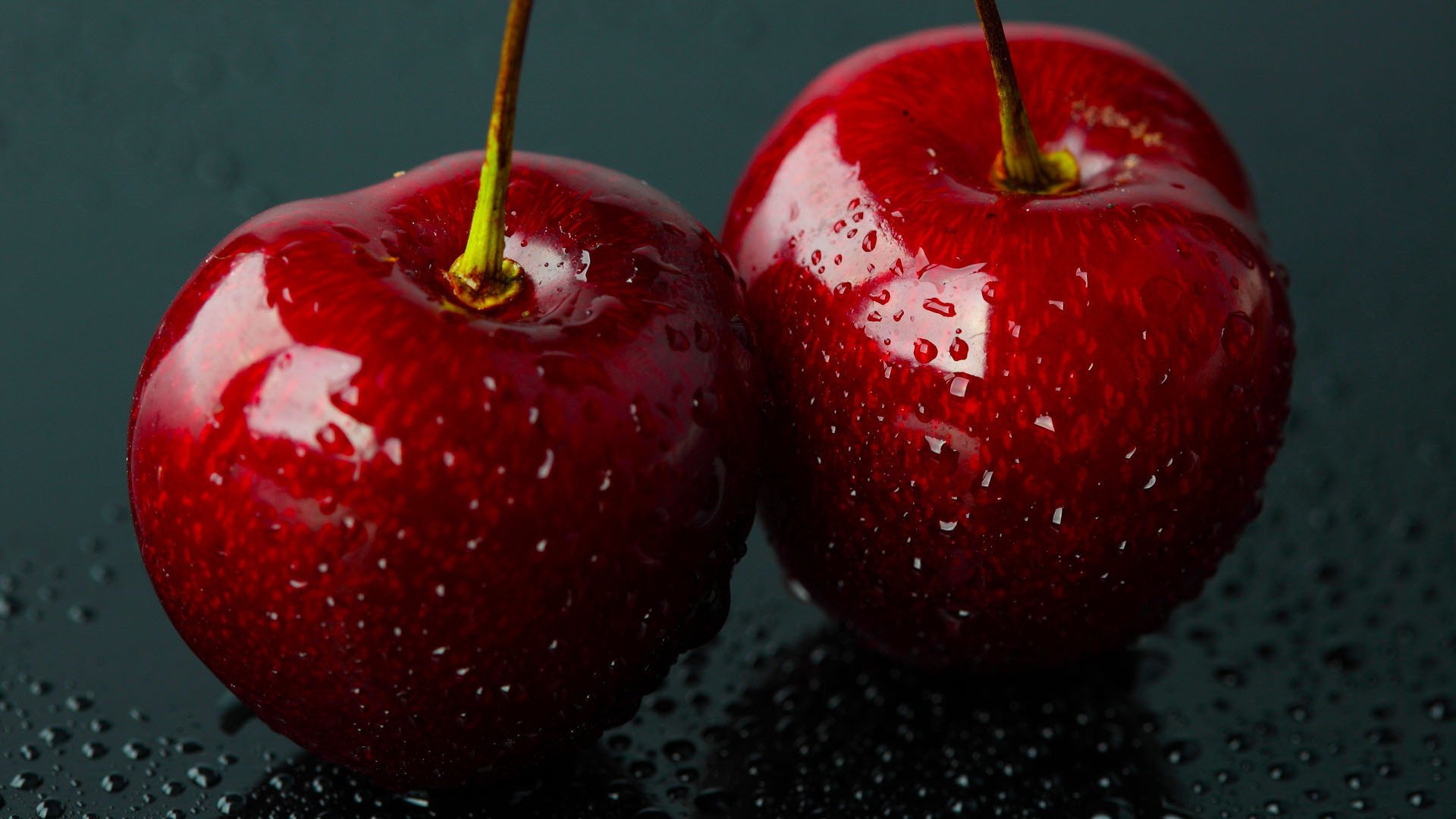 cerises gros plan gouttes eau baies