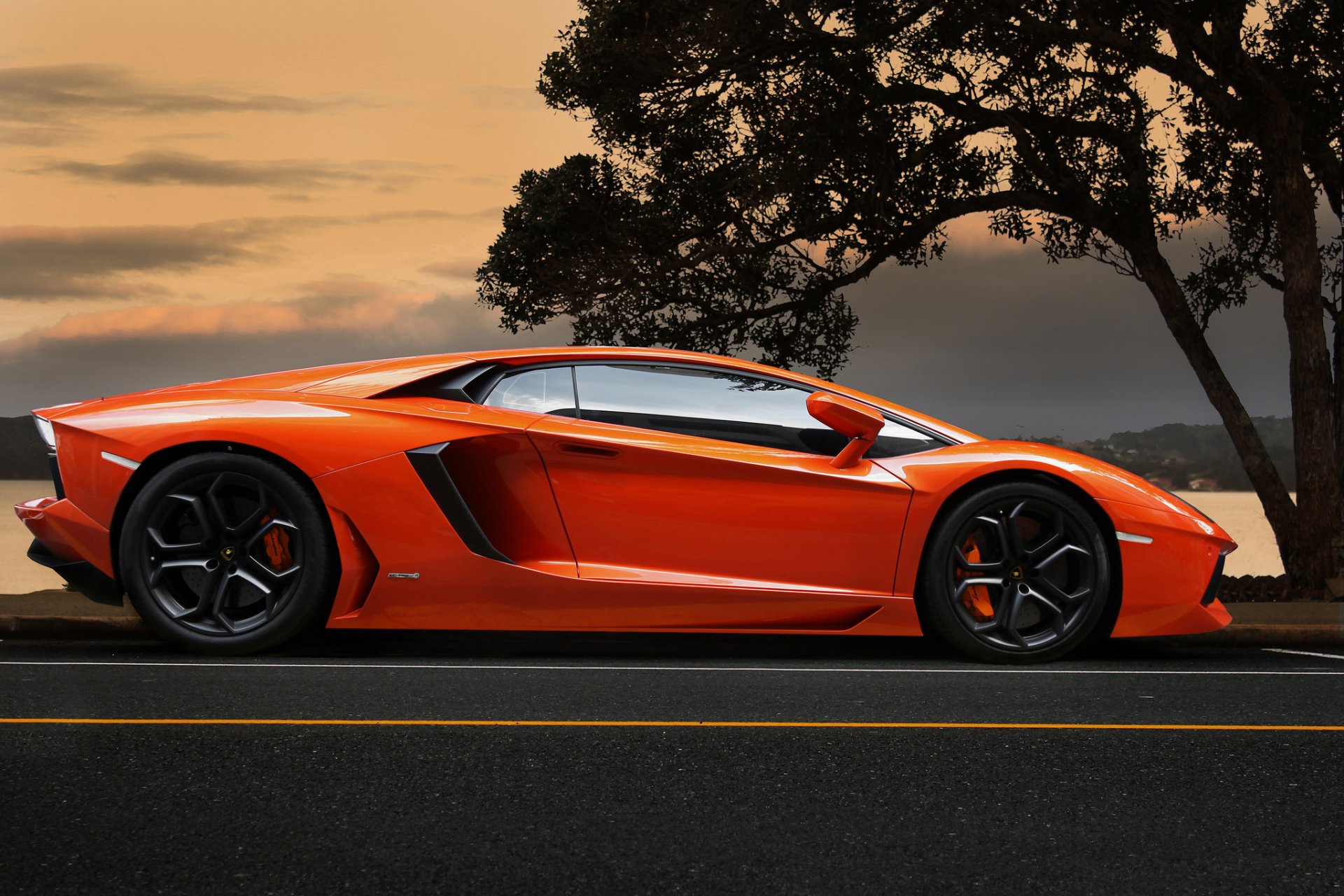 lamborghini aventador lp700-4 orange supercar tree sky lamborghini aventador