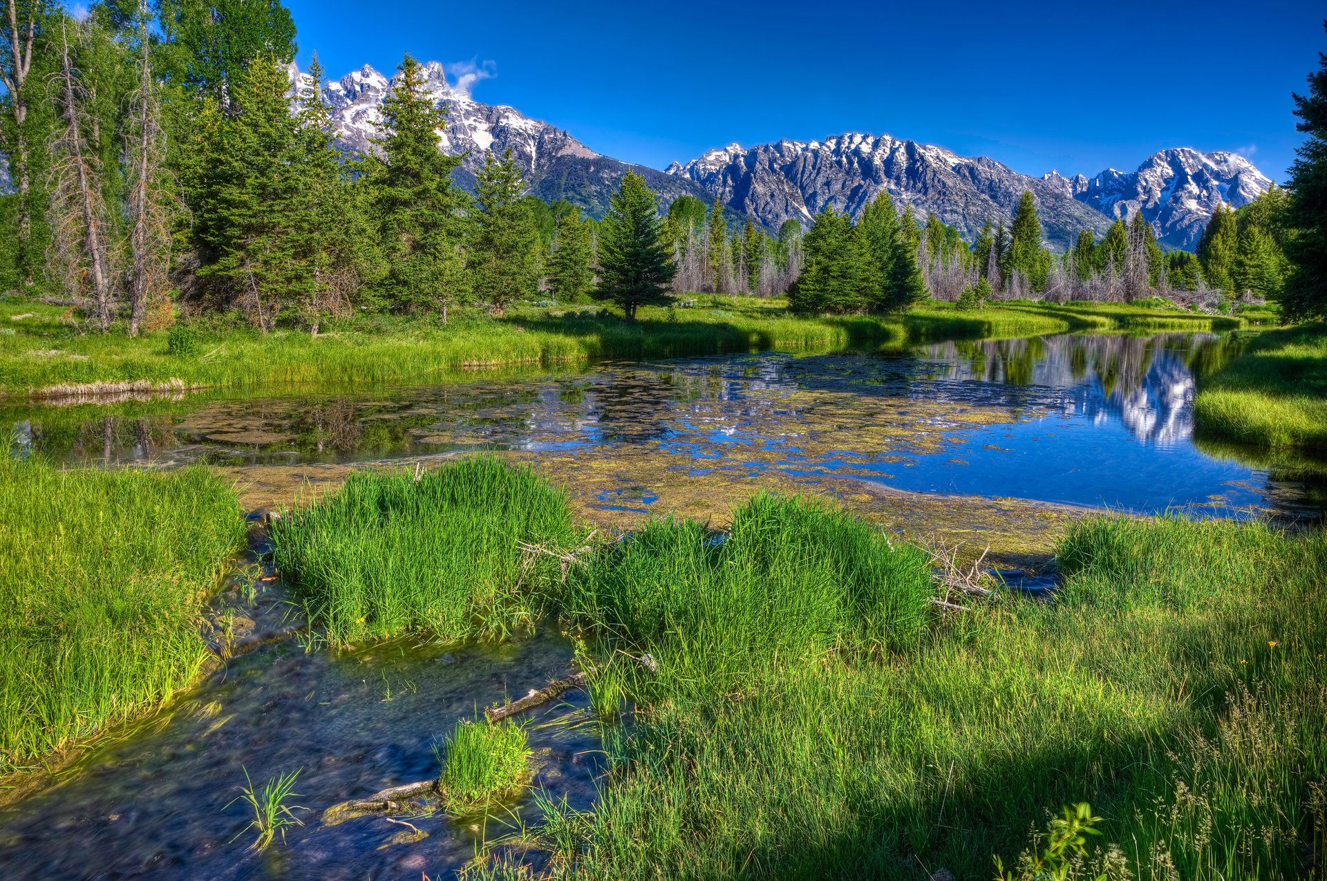 river mountains forest distance grass river green tree